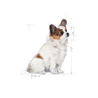 Royal Canin X-small Puppy - 1,5 kg