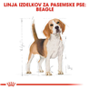 Royal Canin Beagle Adult - 3 kg