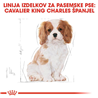 Royal Canin Cavalier King Charles Puppy - 1,5 kg