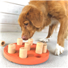 Nina Ottosson interaktivna igrača Dog Smart Composite - Level 1