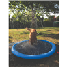 Nobby vodna blazina za pse - fi 150 cm