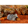 Exo Terra skrivališče votlina Wet Rock Cave, M - 9 x 10,5 x 16,5 cm