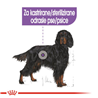 Royal Canin Maxi Adult Sterilised - 12 kg