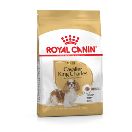 Royal Canin Cavalier King Charles španjel Adult - 1,5 kg