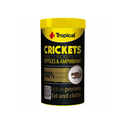 Tropical Crickets - 250 ml / 25 g