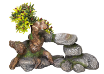Nobby dekor bonsai - 19 x 9 x 13 cm