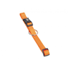 Nobby Classic ovratnica - oranžna - različne velikosti 40 - 55 cm