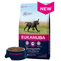 Eukanuba Puppy / Junior  Large - piščanec - 15 kg