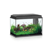 Aquatlantis akvarij Start 55 (57 l), črn - 55 x 30 x 40 cm