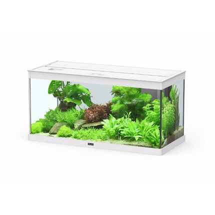 Aquatlantis akvarij Style LED 80, bel - 80 x 35 x 40 cm (102 l)