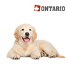 Ontario Puppy & Junior Large - piščanec in krompir