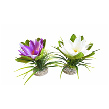 Sydeco dekor Lotus Flower