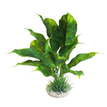 Sydeco dekor Anubias Plant