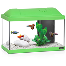 Aquatlantis akvarij Biofun 40, zelen- 41,5 x 20,5 x 30 cm