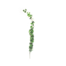 Aquatlantis rastlina za terarij Liana - 85 cm