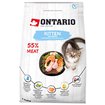 Ontario Kitten - losos