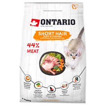 Ontario Cat Shorthair - raca in piščanec