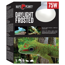 Repti Planet grelna žarnica Daylight Frosted - 75 W