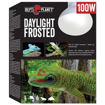 Repti Planet grelna žarnica Daylight Frosted - 100 W