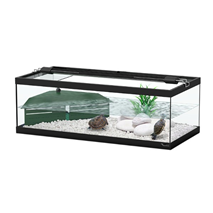 Aquatlantis akvaterarij Tortum za vodne želve, črn - 75 x 36 x 25 cm