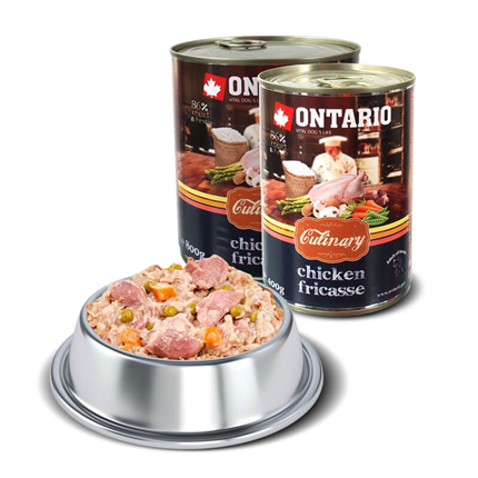 Ontario Culinary - piščančji frikase