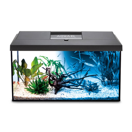 Aquael LED akvarijski set Leddy 60 Day/Night, črn - 60 x 30 x 30 cm