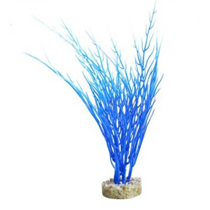 Sydeco dekor Acorus Blue Ocean