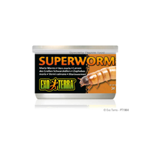 Exo Terra Super Worms zofobi - 34 g