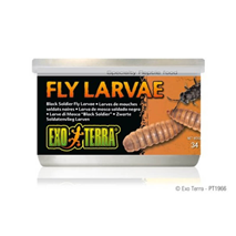 Exo Terra Fly Larvae ličinke muh - 34 g