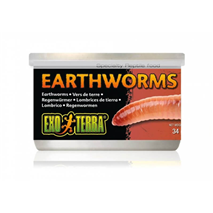 Exo Terra Earhworm deževniki - 34 g