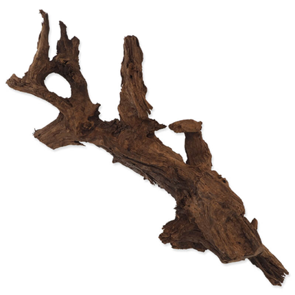 Repti Planet korenina Driftwood - 55-100 cm