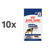 Royal Canin Maxi Adult 10 x 140 g