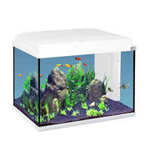 Aquatlantis akvarij Start 55 LED, bel - 57L