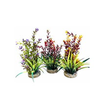 Sydeco dekor Flowering Plant