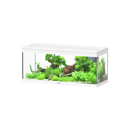 Aquatlantis akvarij Prestige 100 LED 2.0, bel - 185 L / 101,7 x 40 x 45,4 cm