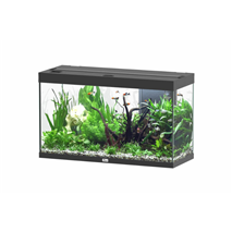 Aquatlantis akvarij Splendid 100 LED 2.0, črn - 249 L / 101,7 x 40 x 61,1 cm