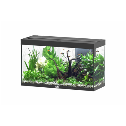 Aquatlantis akvarij Splendid 100 LED 2.0, črn - 249 L / 101,7 x 40 x 61,1 cm