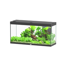 Aquatlantis akvarij Splendid 120 LED 2.0, črn - 294 L / 120,4 x 40 x 61,1 cm