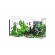 Aquatlantis akvarij Splendid 100 LED 2.0, bel sijaj - 249 L / 101,7 x 40 x 61,1 cm