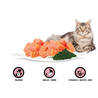 Rasco Premium Cat Sterilized Adult mesni koščki v omaki - losos in spirulina - 85 g