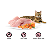 Rasco Premium Cat Adult mesni koščki v omaki - puran in rakitovec - 85 g