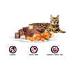 Rasco Premium Cat Adult mesni koščki v omaki - raca in rakitovec - 85 g