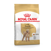 Royal Canin Poodle Adult - 1,5 kg