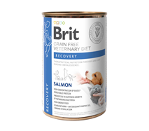 Brit GF Veterinarska dieta za pse in mačke Recovery, 400g