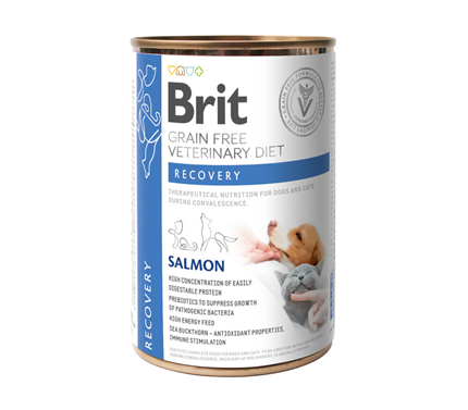 Brit GF Veterinarska dieta za pse in mačke Recovery, 400g