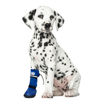 Medical Pets Boot vodoodporni škorenj za pse - S