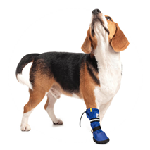 Medical Pets Boot vodoodporni škorenj za pse - M, nizek