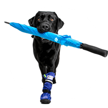 Medical Pets Boot vodoodporni škorenj za pse - XL