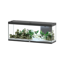 Aquatlantis akvarij Splendid 150 LED 2.0, črn - 364 L / 149 x 39,9 x 60,9 cm