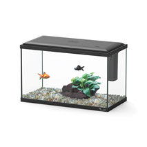 Aquatlantis akvarij Aqua Smart 40 LED, črn - 22 L / 40,5 x 20,5 x 26,5 cm